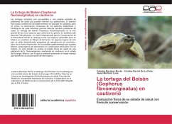 La tortuga del Bolsón (Gopherus flavomarginatus) en cautiverio - Martínez Morán, Catalina;García De la Peña, Cristina;Martínez Luna, Jesús