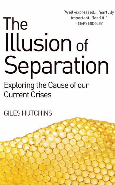 Illusion of Separation (eBook, ePUB) Illusion of Separation (eBook, ePUB)