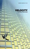 Velocity (eBook, ePUB)