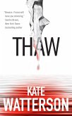 Thaw (eBook, ePUB)