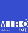 Tate Introductions: Miró (eBook, ePUB) - Bild 1