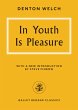 In Youth Is Pleasure (eBook, ePUB) - Bild 1