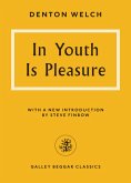 In Youth Is Pleasure (eBook, ePUB)