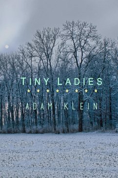 Tiny Ladies (eBook, ePUB) - Klein, Adam