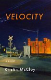 Velocity (eBook, ePUB)