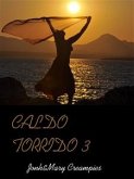 Caldo Torrido 3 (eBook, ePUB)