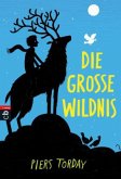 Die Große Wildnis / Kester Bd.1