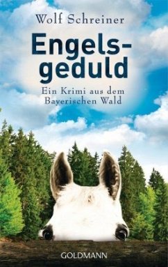 Engelsgeduld / Baltasar Senner Bd.5 - Schreiner, Wolf