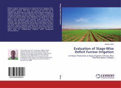 Evaluation of Stage-Wise Deficit Furrow Irrigation