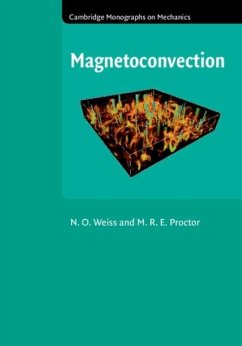 Cover Magnetoconvection (eBook, PDF)