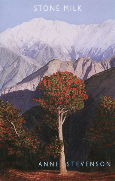 Stone Milk (eBook, ePUB)