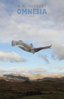 Cover Omnesia: remix (eBook, ePUB)