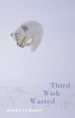 Third Wish Wasted (eBook, ePUB) - Lumsden, Roddy