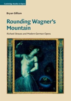 Rounding Wagner's Mountain (eBook, PDF) - Gilliam, Bryan
