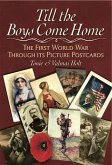 Till the Boys Come Home (eBook, PDF)