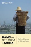 Dams and Development in China (eBook, ePUB)