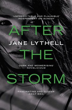 Cover After the Storm (eBook, ePUB)