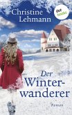 Der Winterwanderer (eBook, ePUB)