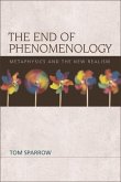 End of Phenomenology (eBook, ePUB)