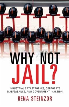 Why Not Jail? (eBook, PDF) - Steinzor, Rena