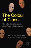 The Colour of Class (eBook, ePUB)