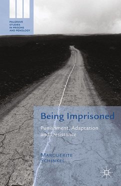 Being Imprisoned (eBook, PDF) - Schinkel, M.