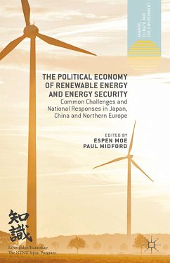 The Political Economy of Renewable Energy and Energy Security (eBook, PDF)