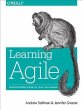 Learning Agile (eBook, PDF) - Bild 1