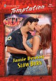 Slow Burn (Mills & Boon Temptation) (eBook, ePUB)