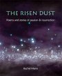 Risen Dust (eBook, PDF) - Bild 1