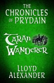 Taran Wanderer (eBook, ePUB)