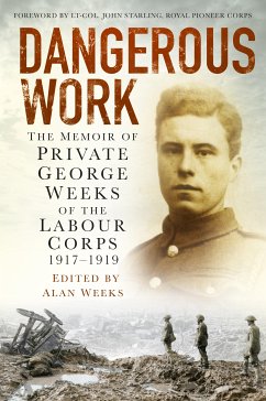 Dangerous Work (eBook, ePUB)