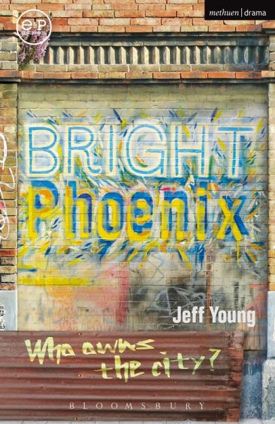 Bright Phoenix (eBook, PDF)