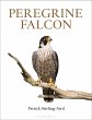 Peregrine Falcon (eBook, ePUB) - Bild 1