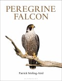 Peregrine Falcon (eBook, ePUB)