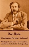 Condensed Novels (eBook, ePUB)