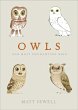 Owls (eBook, ePUB) - Bild 1