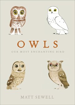 Owls (eBook, ePUB) - Sewell, Matt