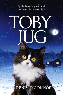 Cover Toby Jug (eBook, ePUB)