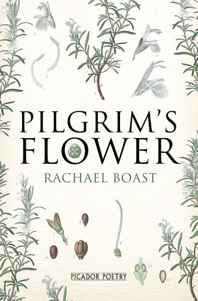 Pilgrim's Flower (eBook, ePUB) Pilgrim's Flower (eBook, ePUB)