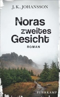 Noras zweites Gesicht / Palokaski-Trilogie Bd.2 - Johansson, J. K.