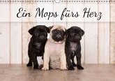 Ein Mops fürs Herz (Wandkalender immerwährend DIN A3 quer)