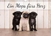 Ein Mops fürs Herz (Wandkalender immerwährend DIN A4 quer)