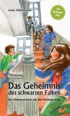 Die Rothstein-Kids - Das Geheimnis des schwarzen Falken