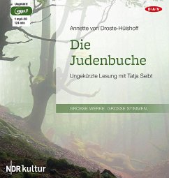 Die Judenbuche - Droste-Hülshoff, Annette von