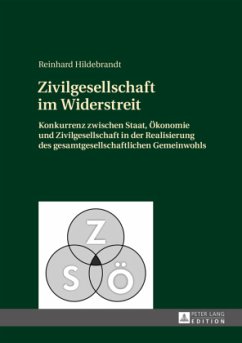 Zivilgesellschaft im Widerstreit - Hildebrandt, Reinhard