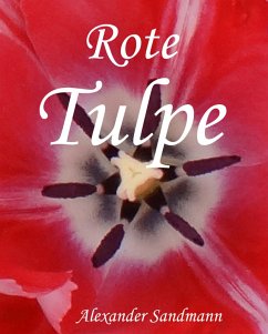 Rote Tulpe (eBook, ePUB) - Sandmann, Alexander