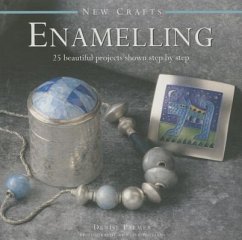 New Crafts: Enamelling - Palmer Denise