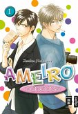 Ameiro Paradox 01 (eBook, ePUB)