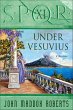 SPQR XI: Under Vesuvius (eBook, ePUB) - Bild 1